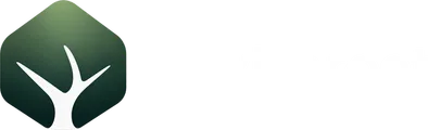 MyForest Beta